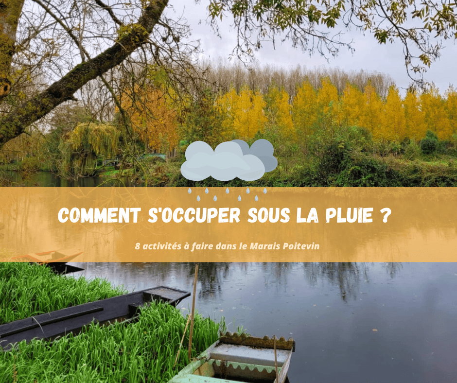 Vacances sous la pluie ? Occupation garantie au camping la Venise Verte ! 